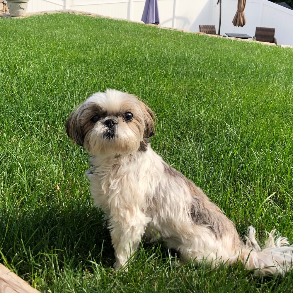 Meet your Posher, Elizabeth